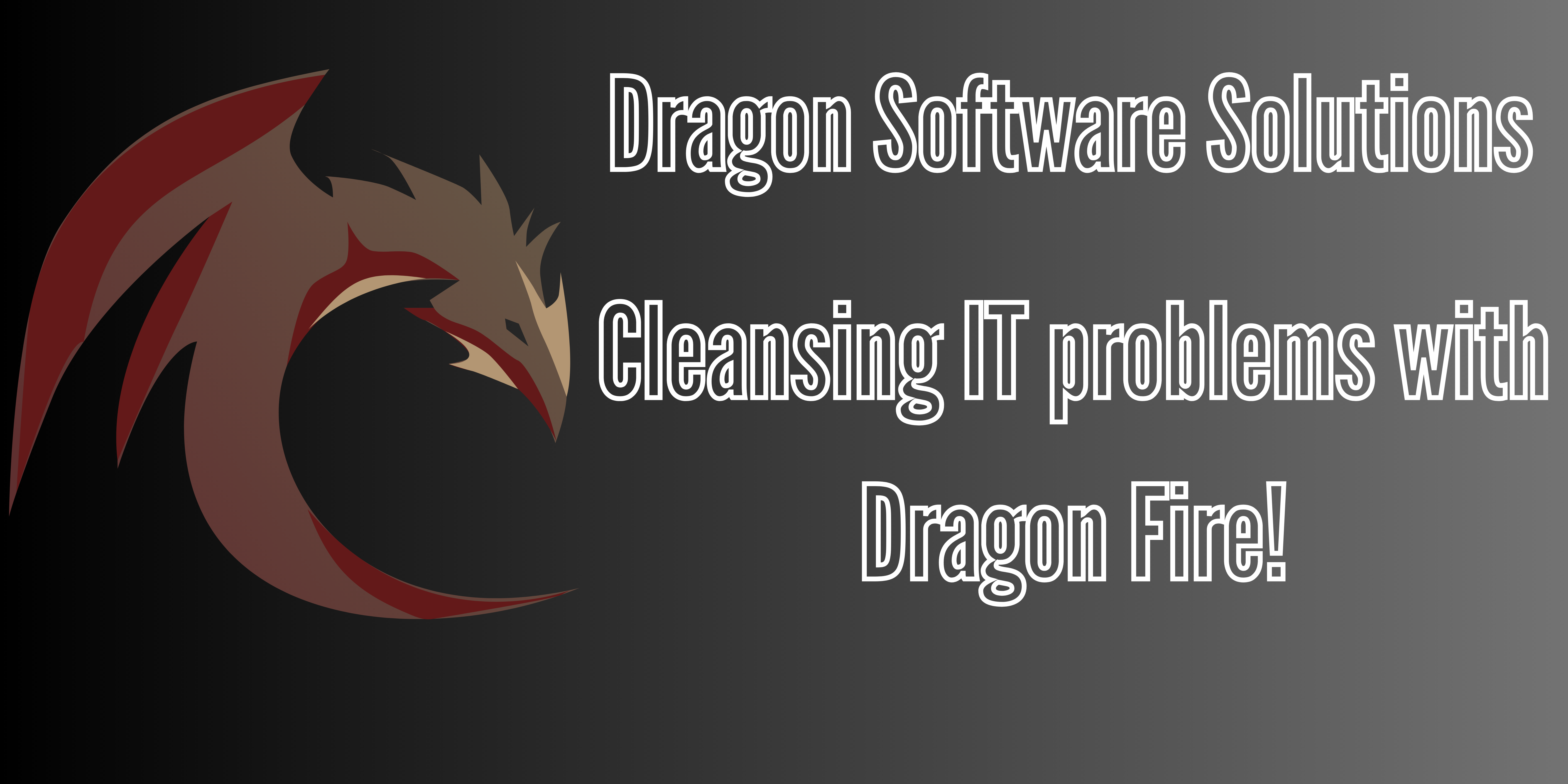 Dragon Software Solutions — Cleansing IT Problems with Dragon Fire